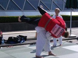 Bilder aus 2011